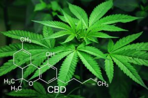 CBD medical components